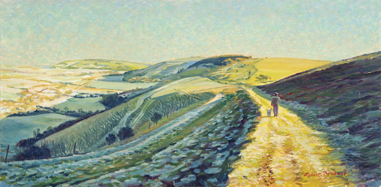Winterwandeling op de Downs, 1996 door Robert Tyndall