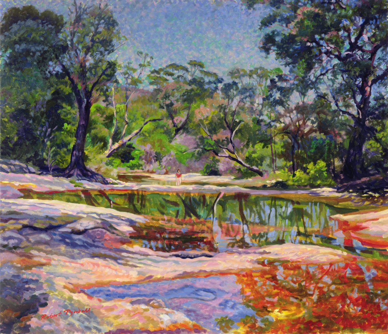 Wirreanda Creek, Nieuw-Zuid-Wales, Australië door Robert Tyndall