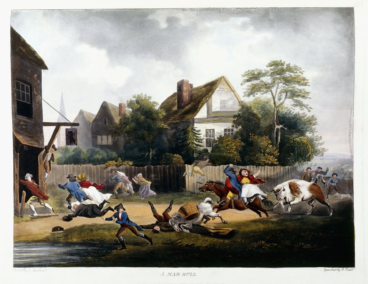 Een dolle stier, 1806 door Robert Dodd