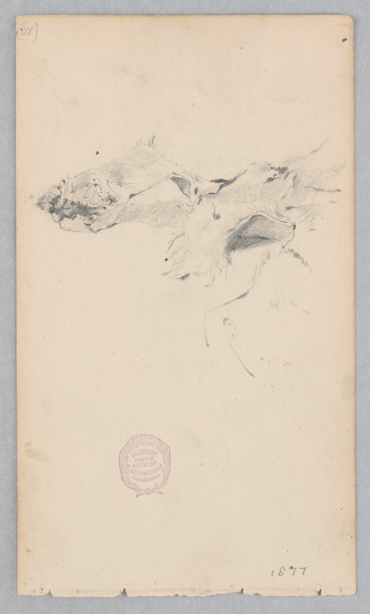 Tijgervel tapijt door Robert Frederick Blum