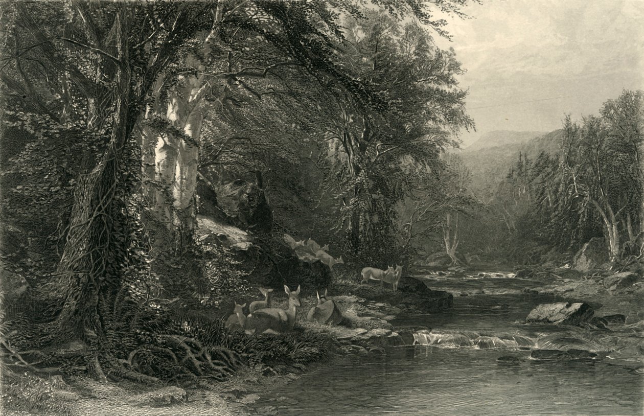 De Adirondack-bossen, 1874 door Robert Hinshelwood