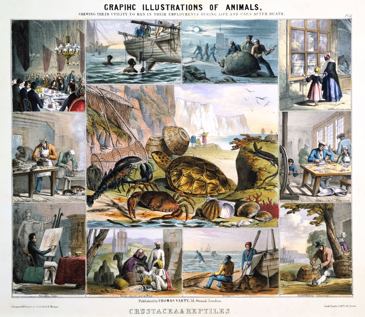 Schaaldieren en Reptielen door Robert Kent Thomas