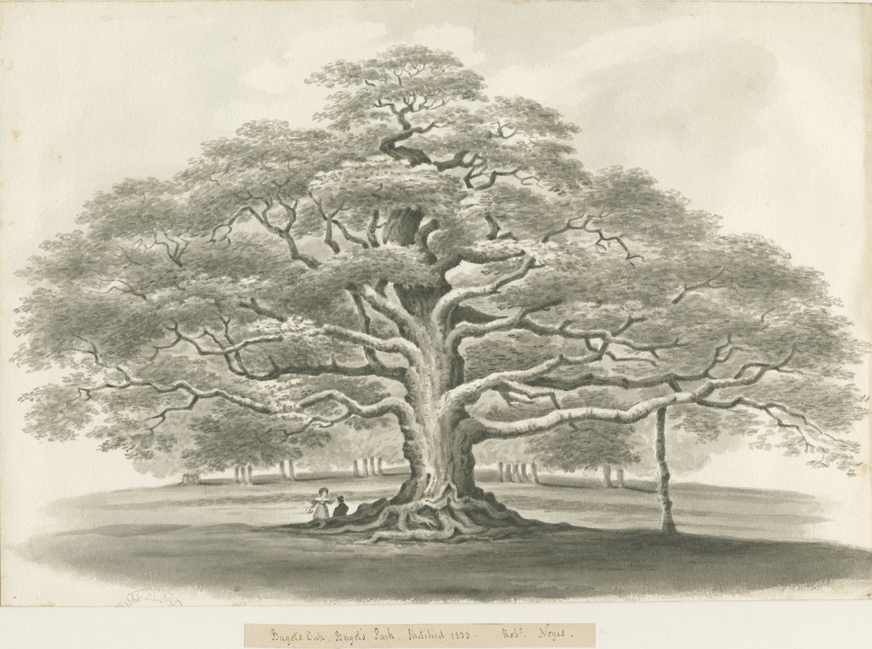 Blithfield - Bagot