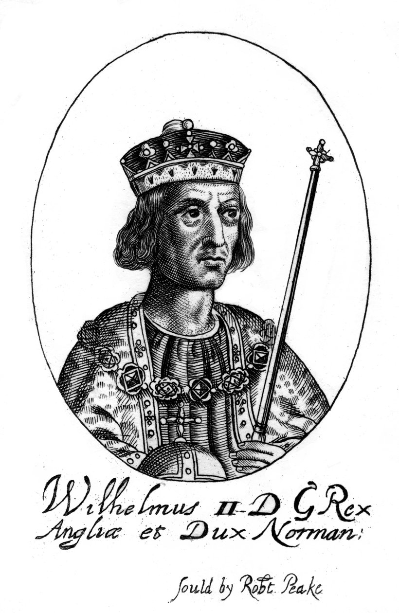 Koning Willem II door Robert Peake