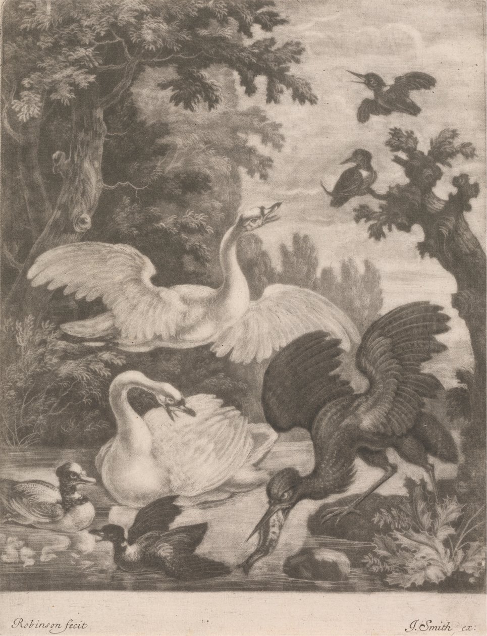 Watervogels door Robert Robinson