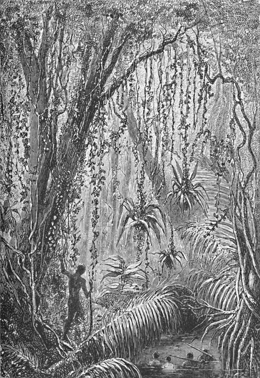 Braziliaans bos, ca. 1885-1890 door Robert Taylor Pritchett