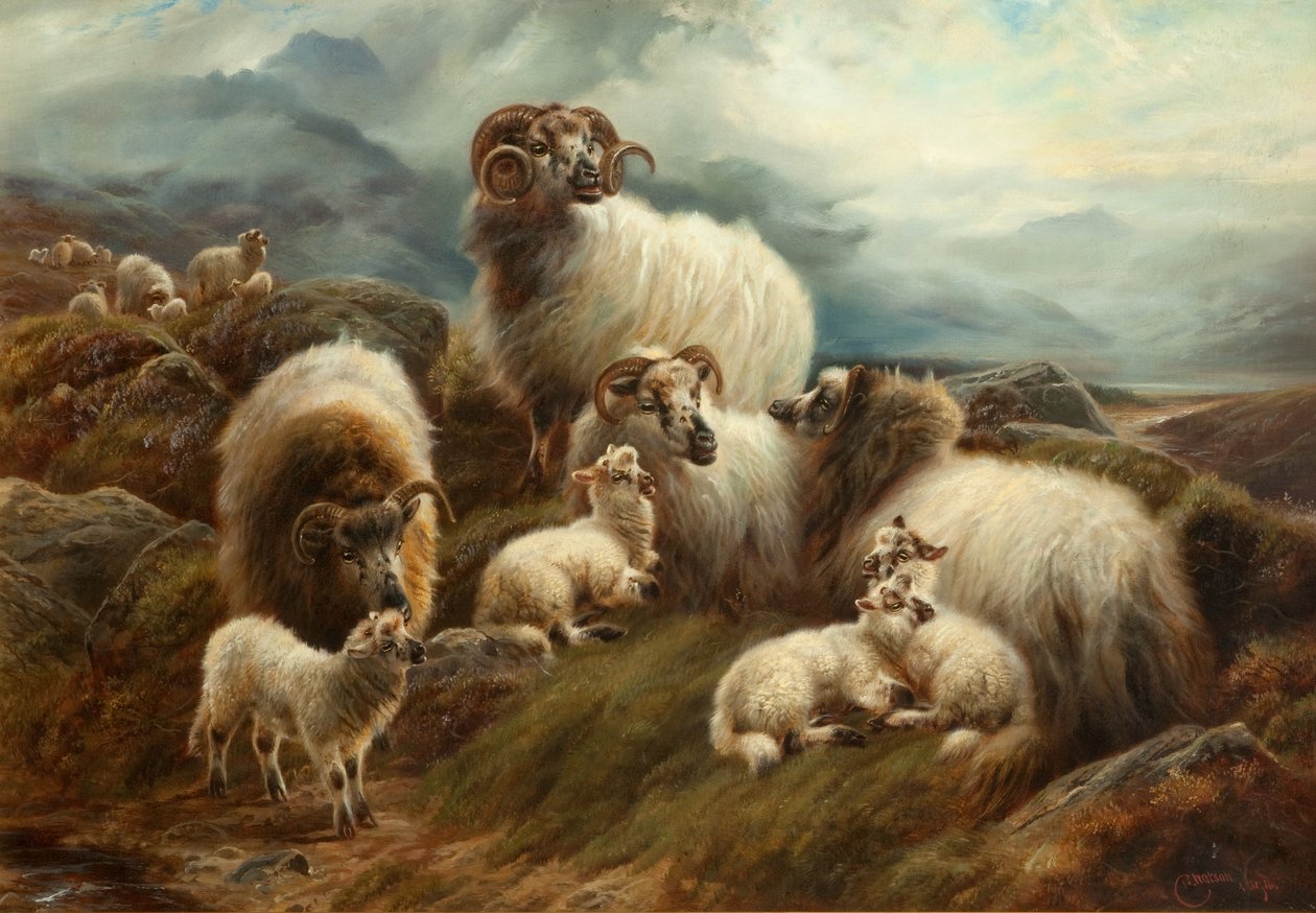 Schapen in een landschap door Robert Watson