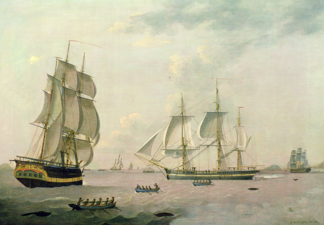 De Walvisvaarder `Ocran