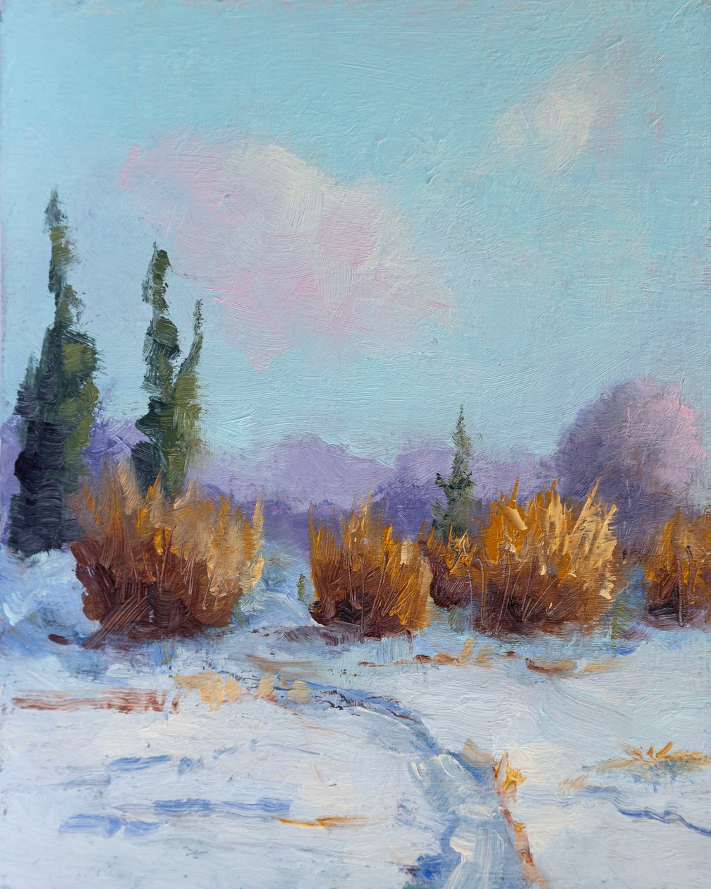 Prairie Regen door Roberta Murray