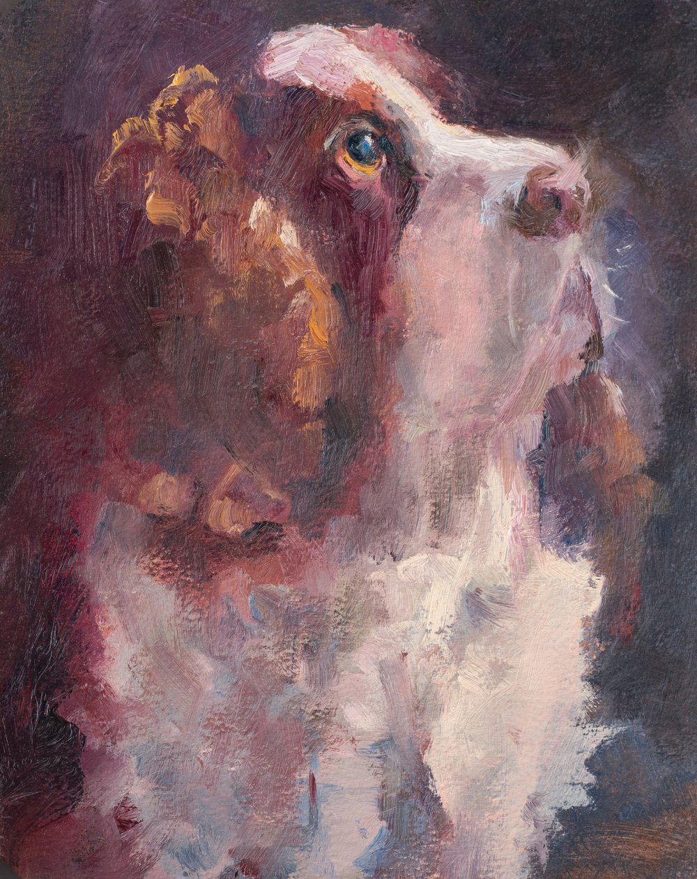 Romeo door Roberta Murray