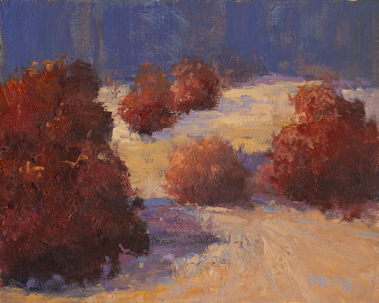 Winter Wilgen, 2023 door Roberta Murray