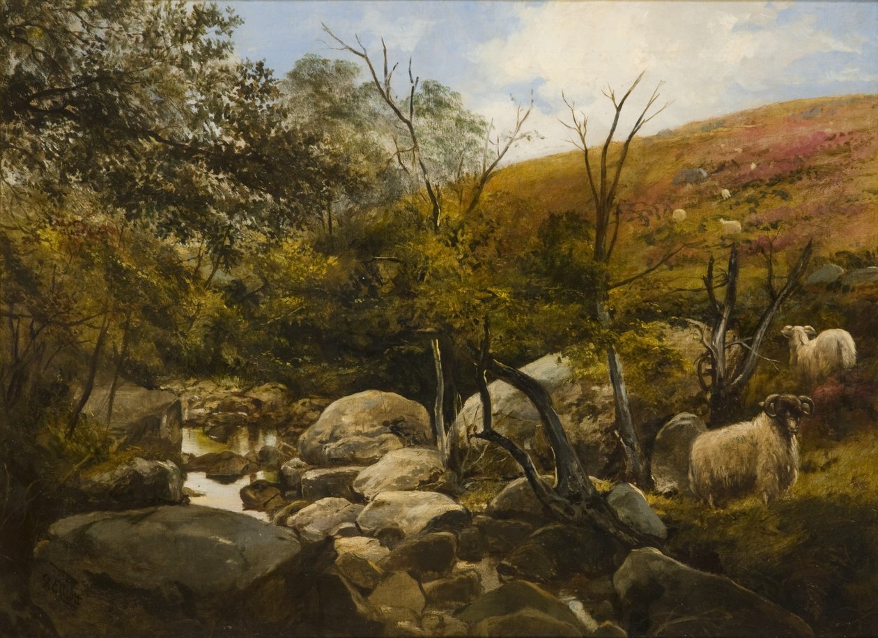 Aan de Black Burn, nabij Rothbury door Robinson Elliott