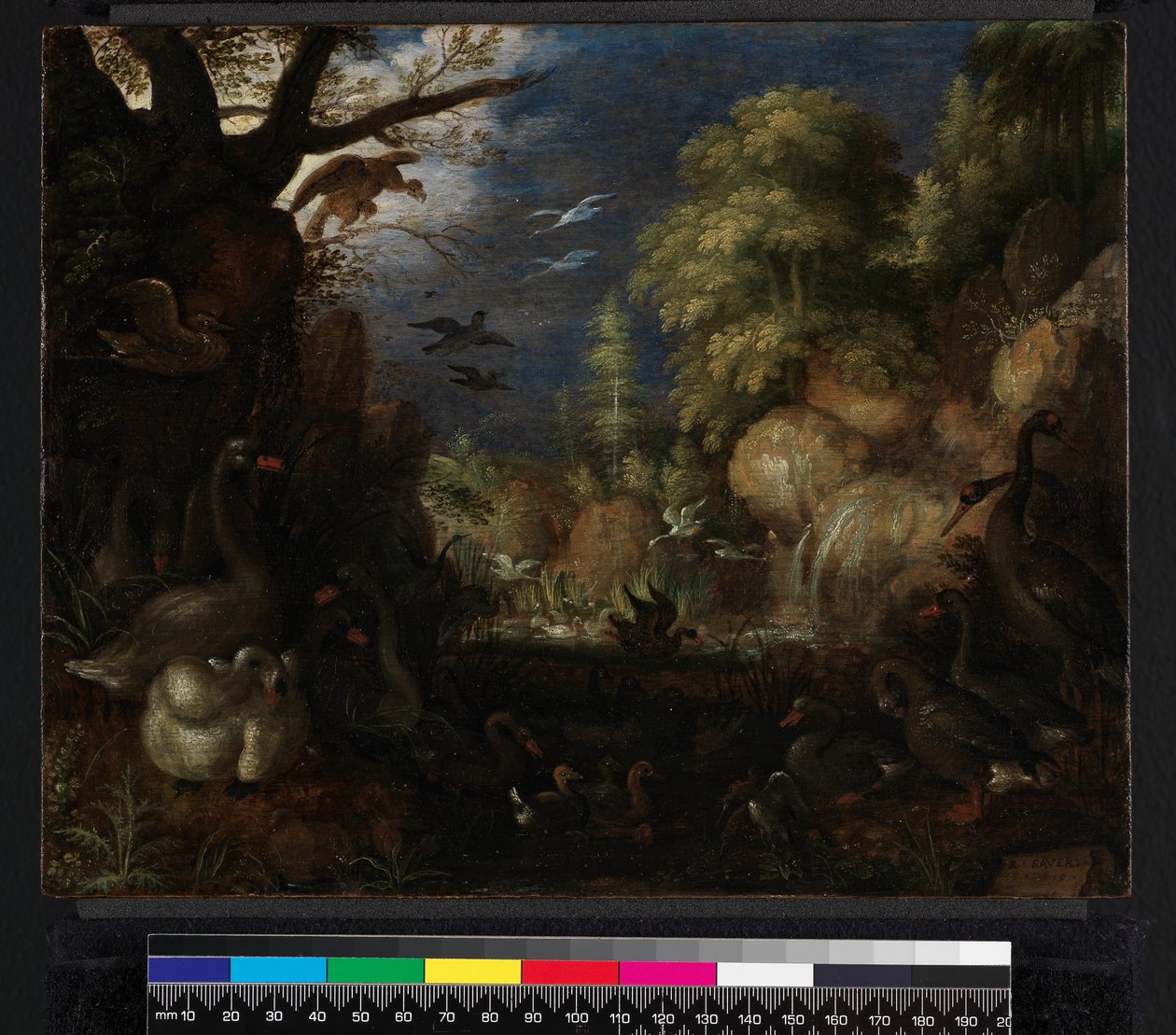 De schepping van vogels, 1619 door Roelandt Jacobsz. Savery