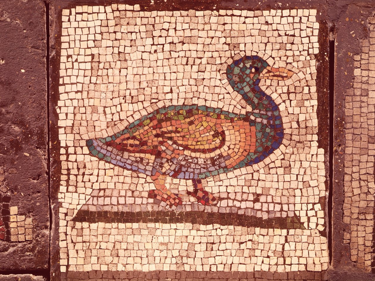 Een eend (detail) door Roman