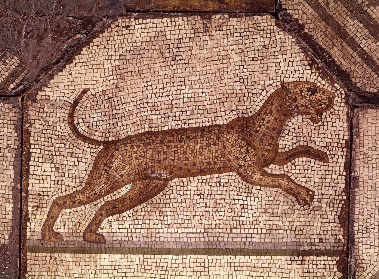 Een luipaard, detail uit Orpheus die de dieren betovert (mozaïek) door Roman