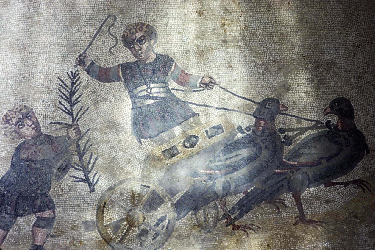 Vogel menner (mozaïek) door Roman
