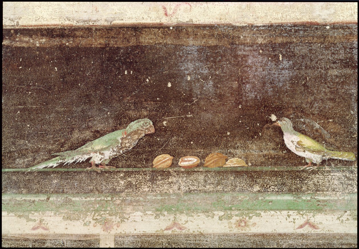 Vogels die noten eten (detail) door Roman