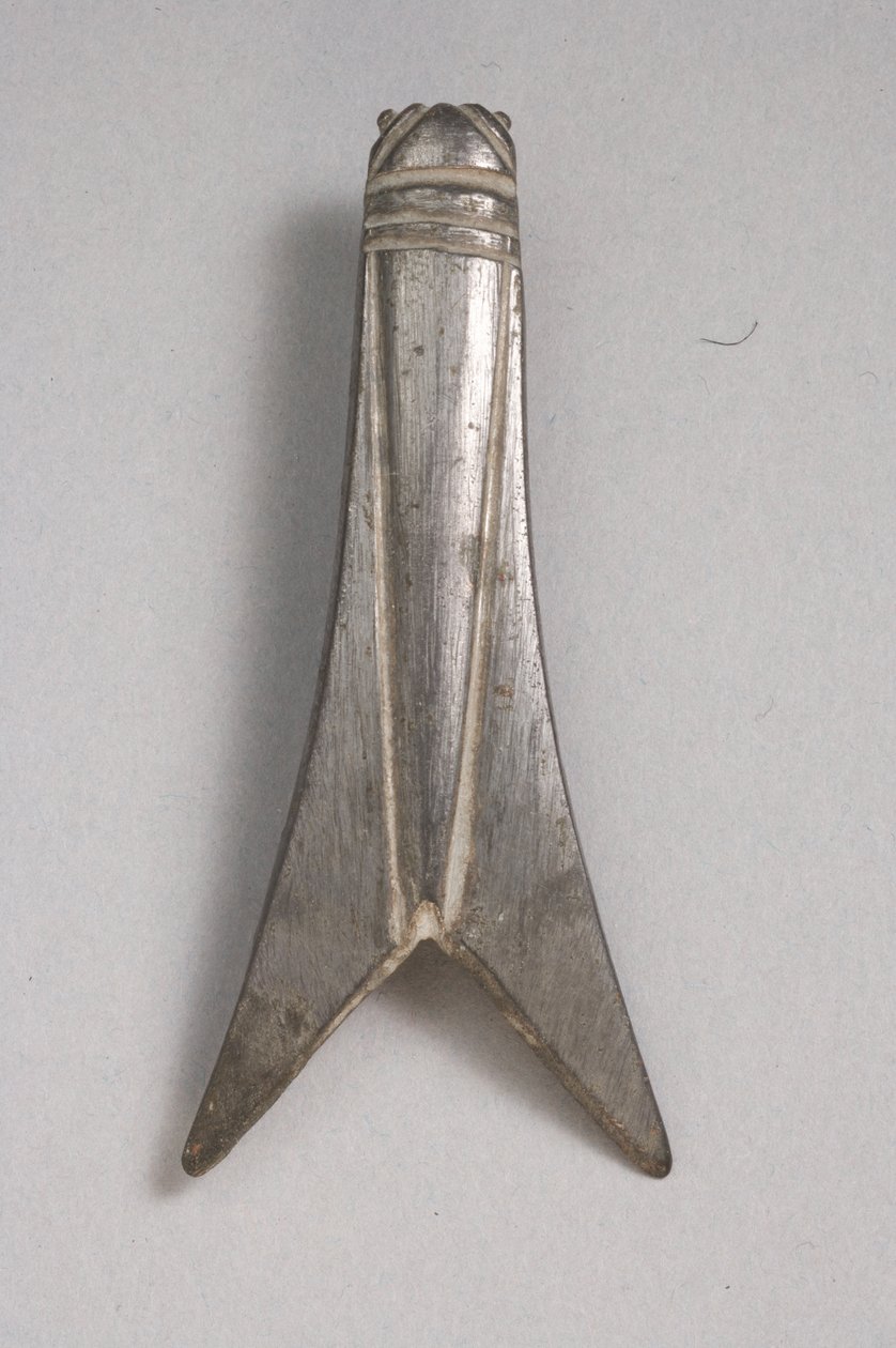 Fibula van een cicade (vertind brons) door Roman