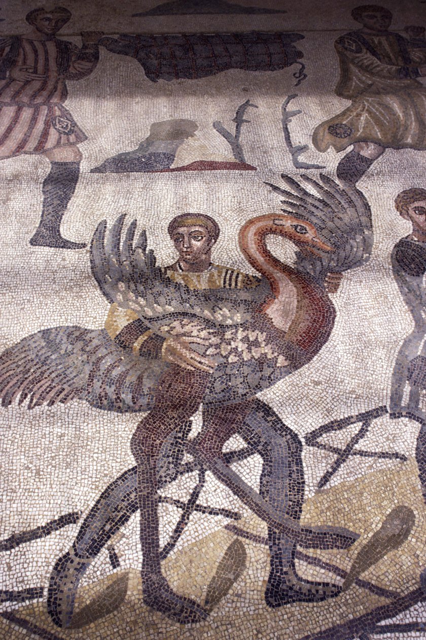 Man die een zwaan draagt (detail) door Roman