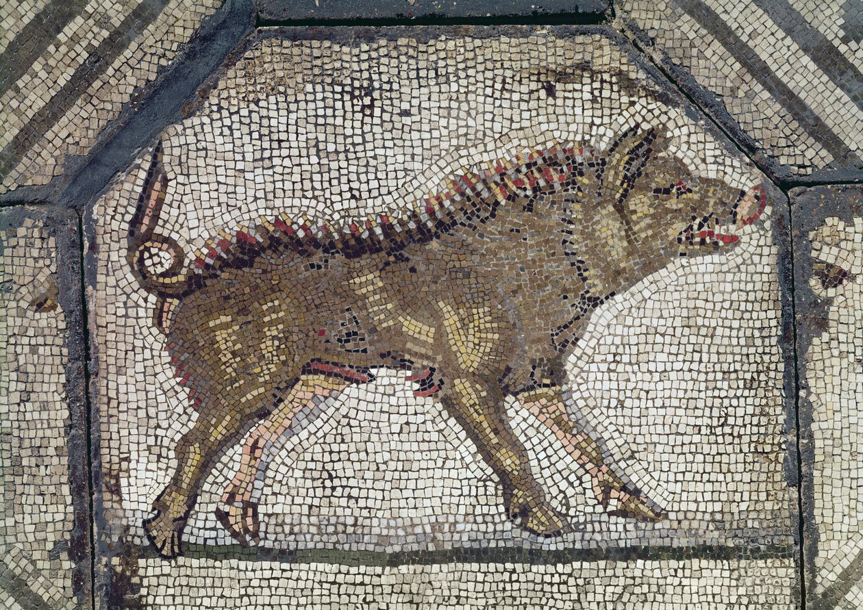 Orpheus die de Dieren Betoverd, detail van een mozaïek door Roman