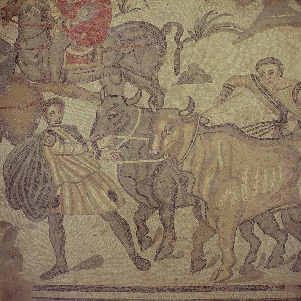 Ossen die water vervoeren, Romeins mozaïek, begin 4e eeuw door Roman
