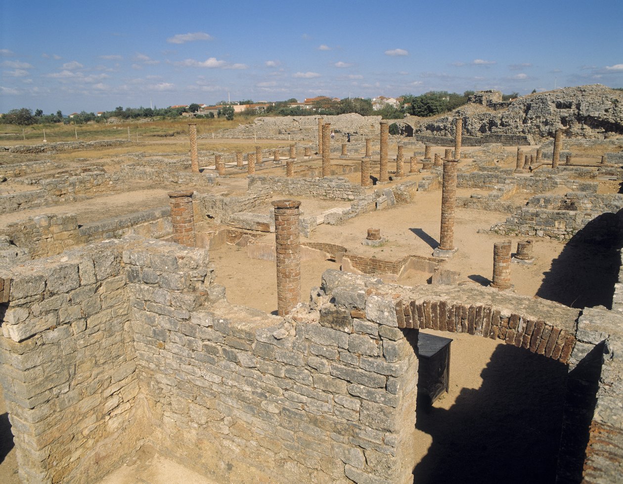 Uitzicht op de ruïnes door Roman