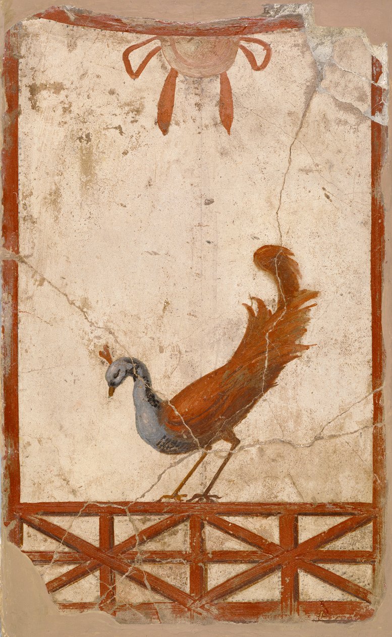 Muurfragment met pauw, 1e eeuw door Roman