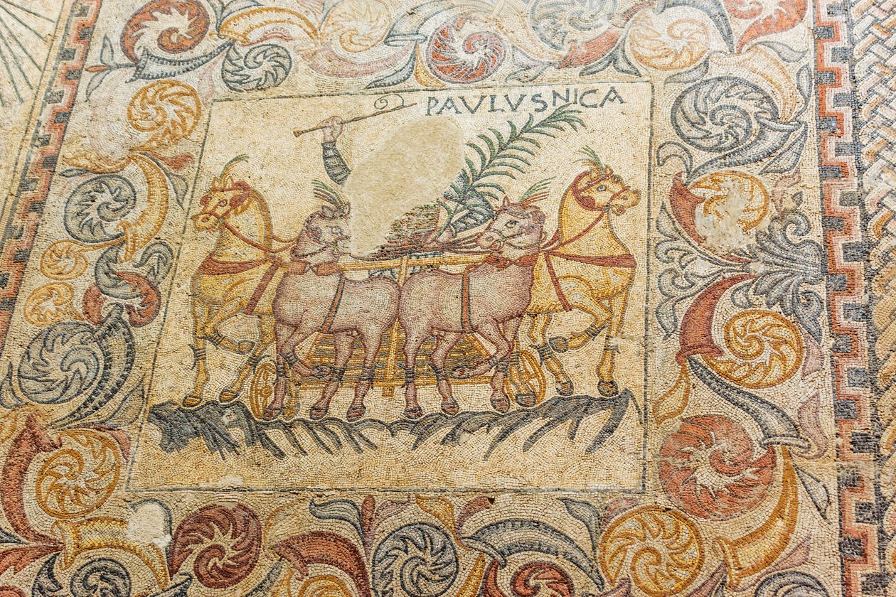 Mozaïeken die een wagenmenner met vier paarden afbeelden door Roman Roman