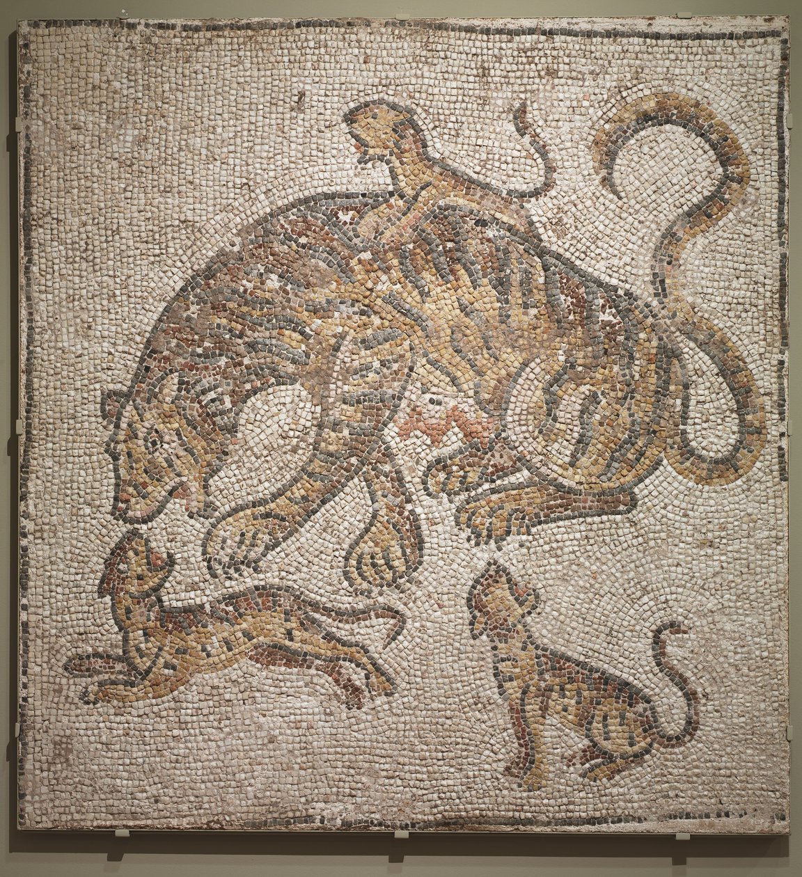 Tijgerin en welpen, ca. 300 AD door Roman