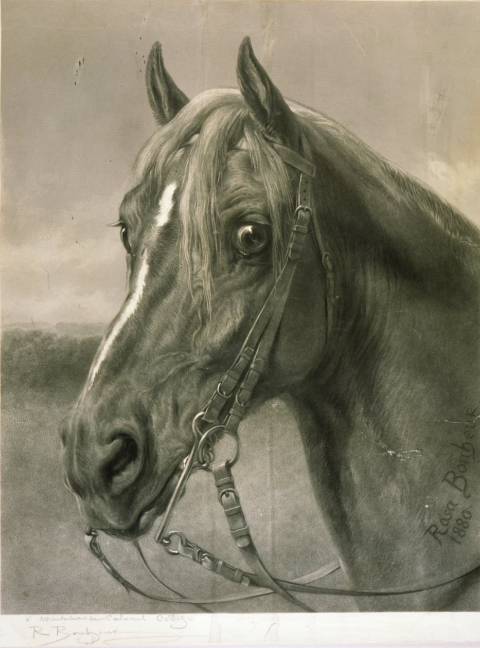 Aan Monsieur le Colonel Cody door Rosa Bonheur