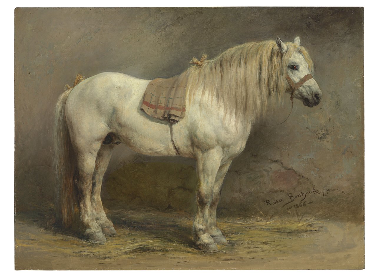 Een wit paard door Rosa Bonheur
