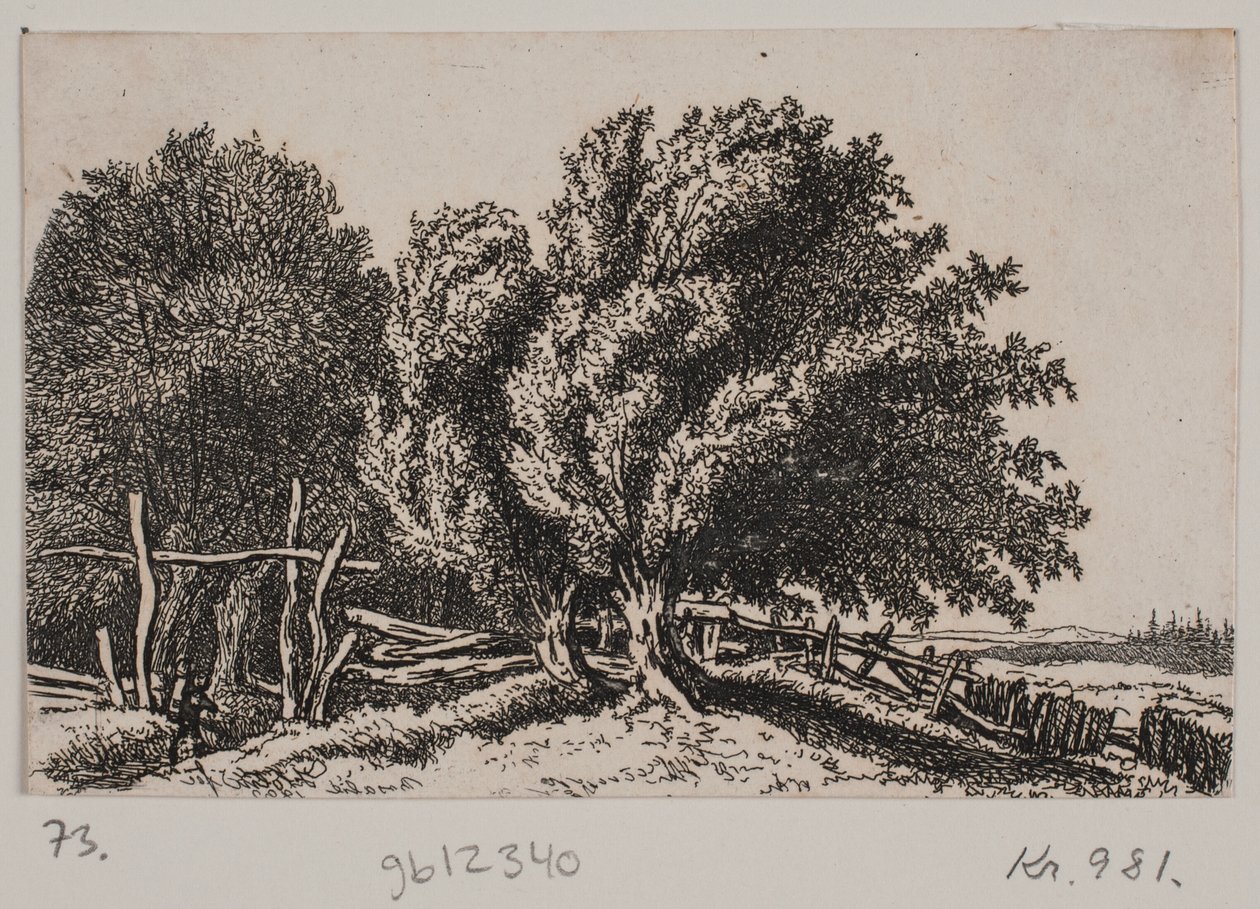 Landschap door Rosalie Holm