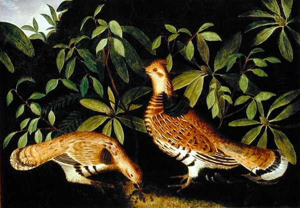 Twee Ruffed Grouse in het Struikgewas door Rubens Peale