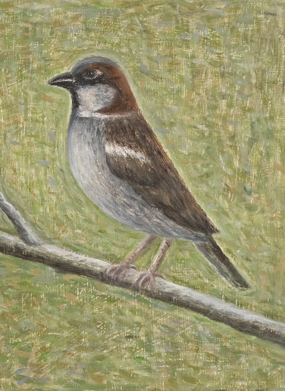 Huismus, 2008 door Ruth Addinall