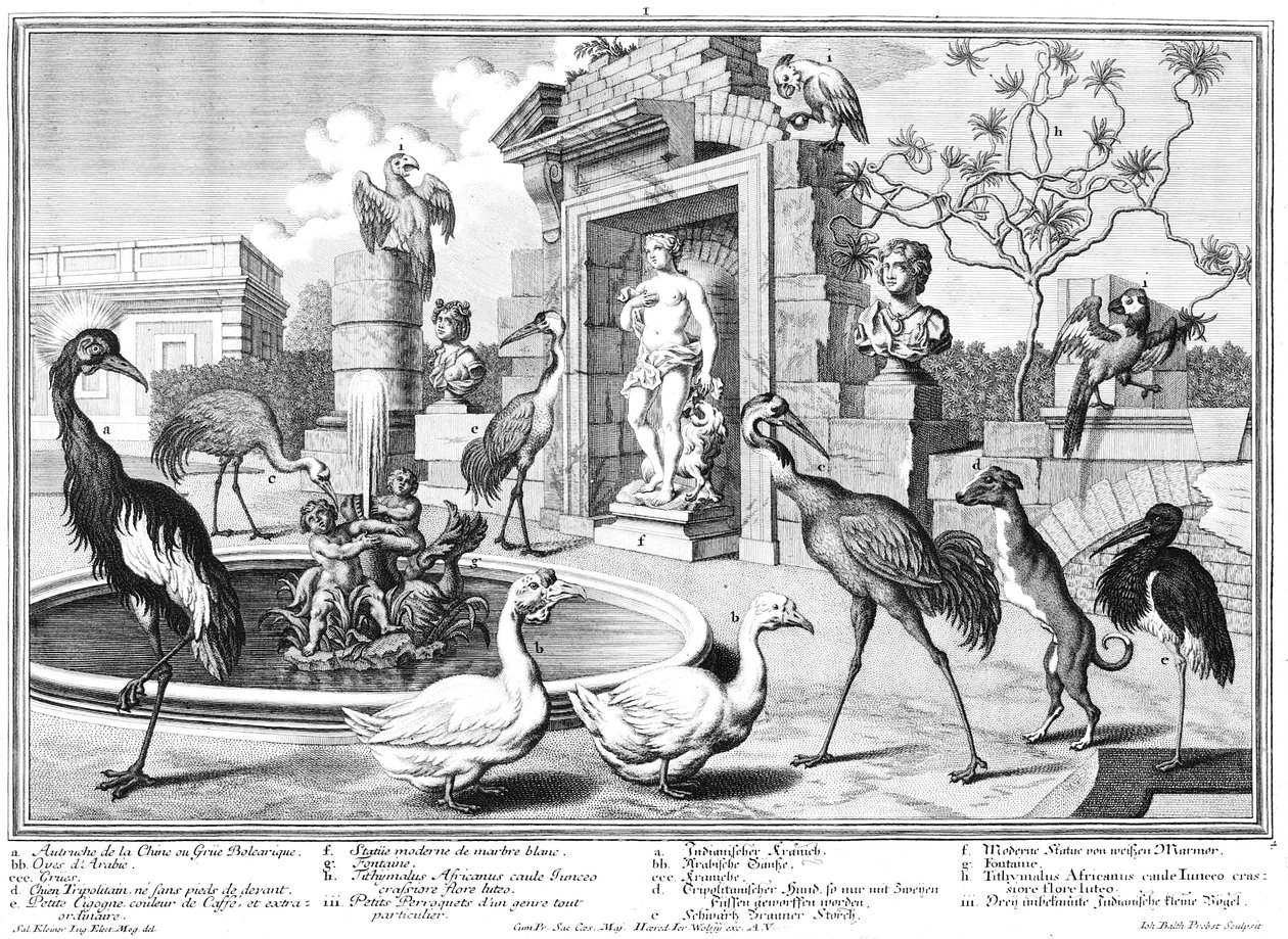 Kraanvogels en eenden door Salomon Kleiner