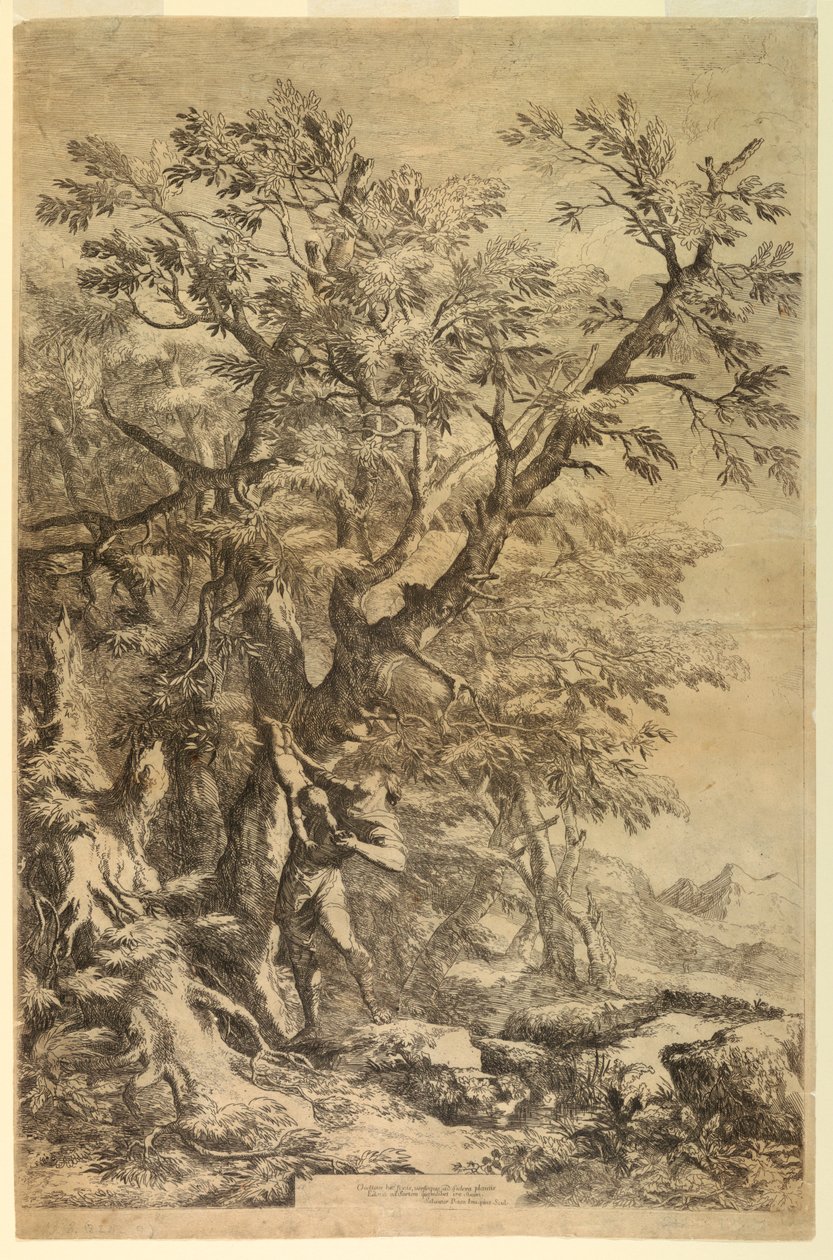 Oedipus blootgesteld op de berg Cithaeron door Salvator Rosa
