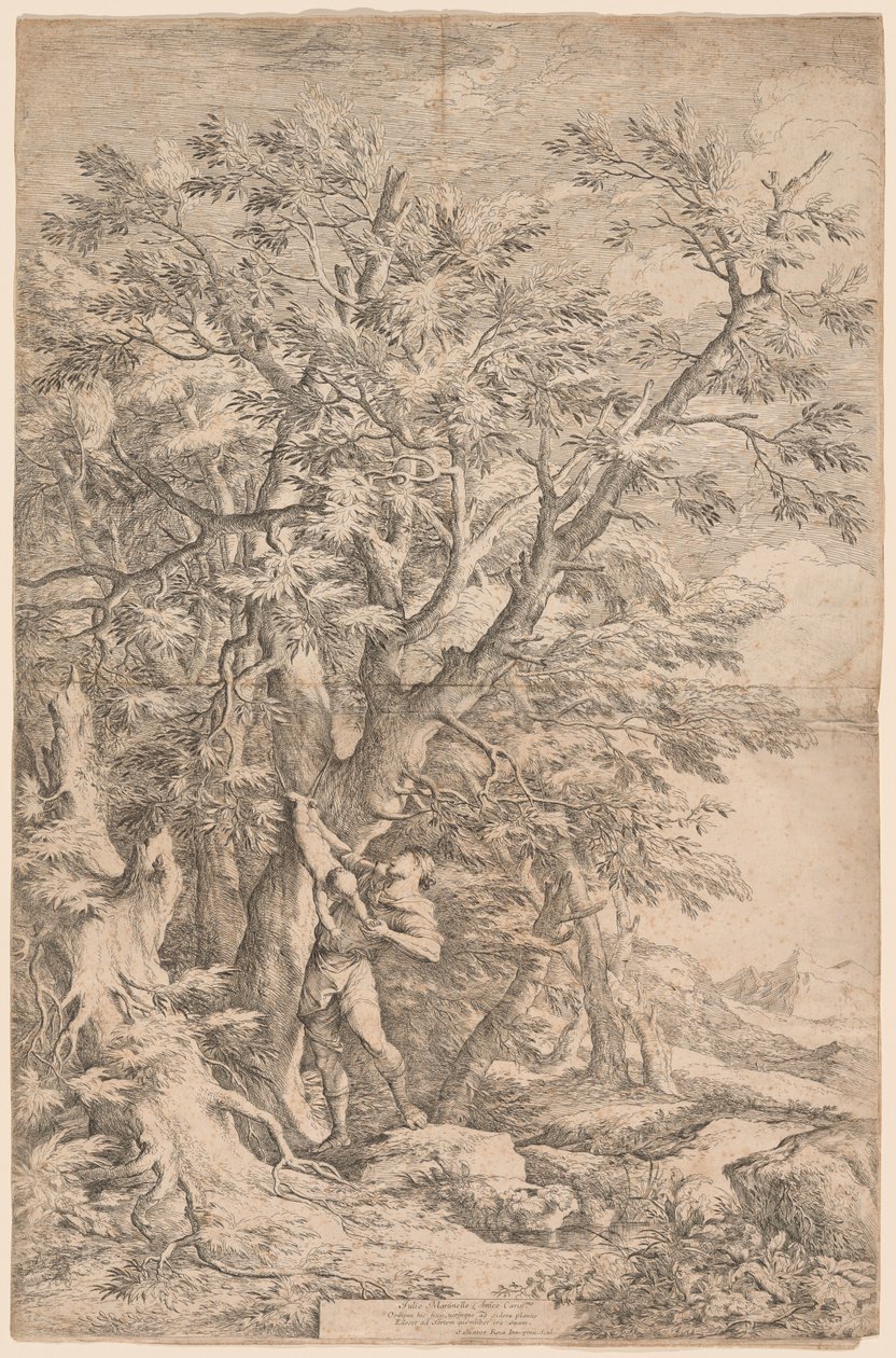 De redding van de baby Oedipus door Salvator Rosa
