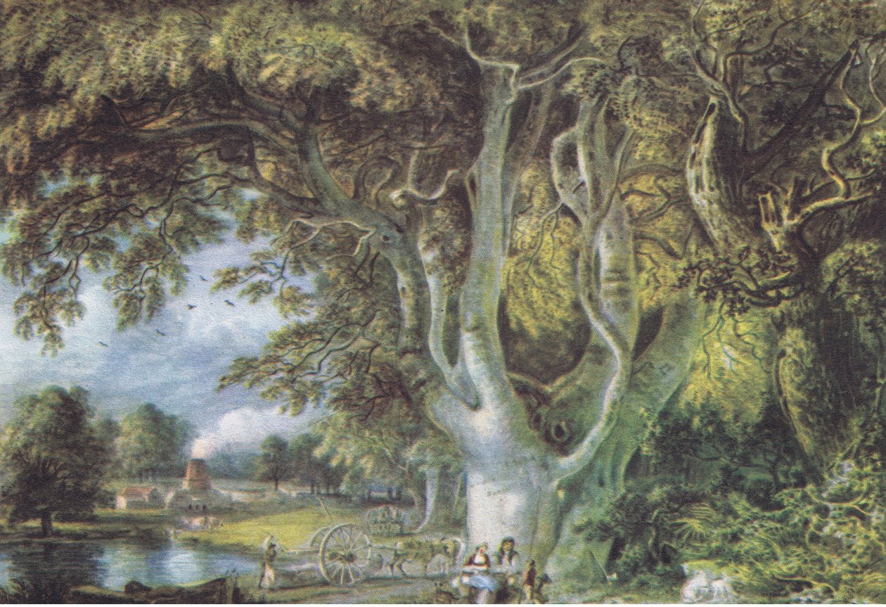 Eikenbomen, Shoreham, Kent, Natuur in Groot-Brittannië gepubliceerd door Collins, 1946 door Samuel Palmer