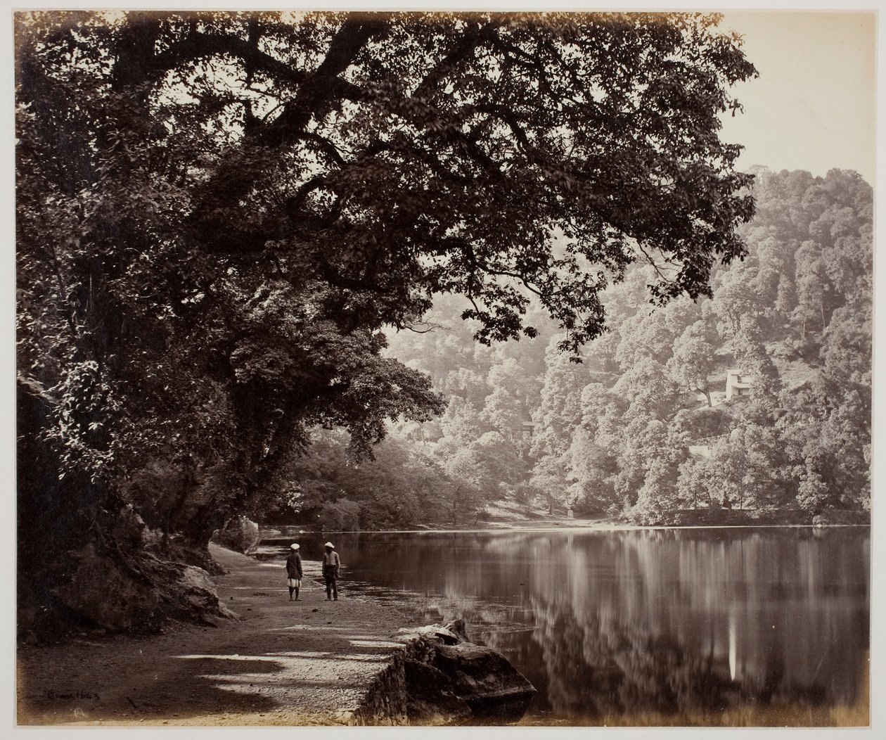 Zonder titel [bomen bij water, India], 1870s door Samuel Bourne