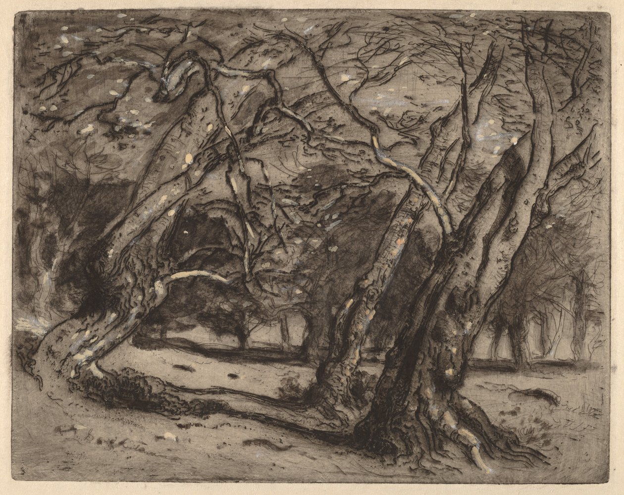 Zonder titel (Boslandschap) door Samuel Colman