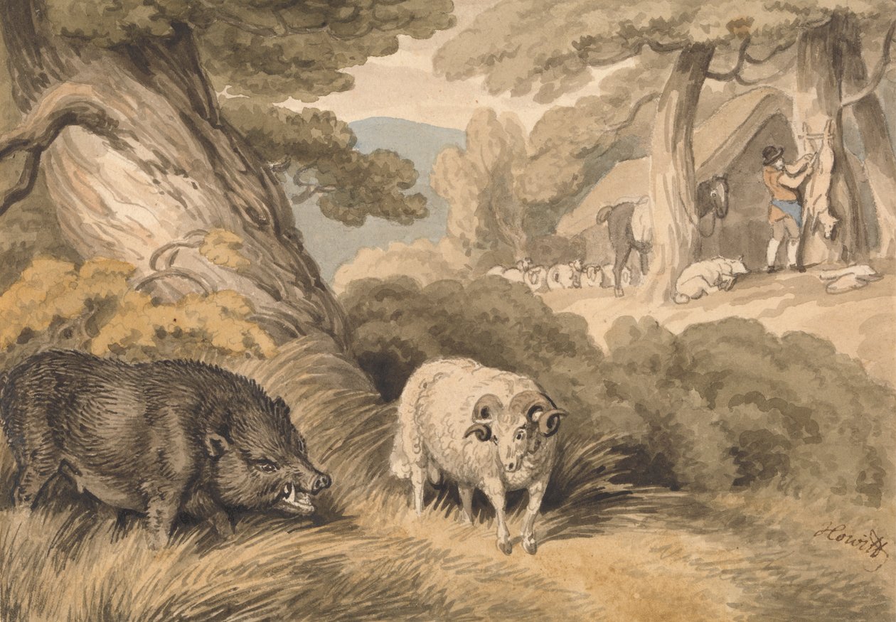 Een everzwijn en een ram door Samuel Howitt