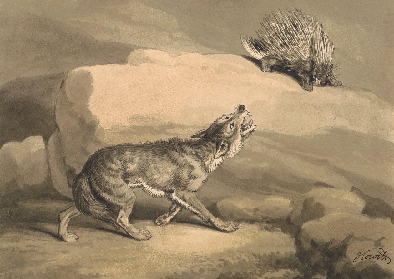 Vos en de egel (stekelvarken) door Samuel Howitt