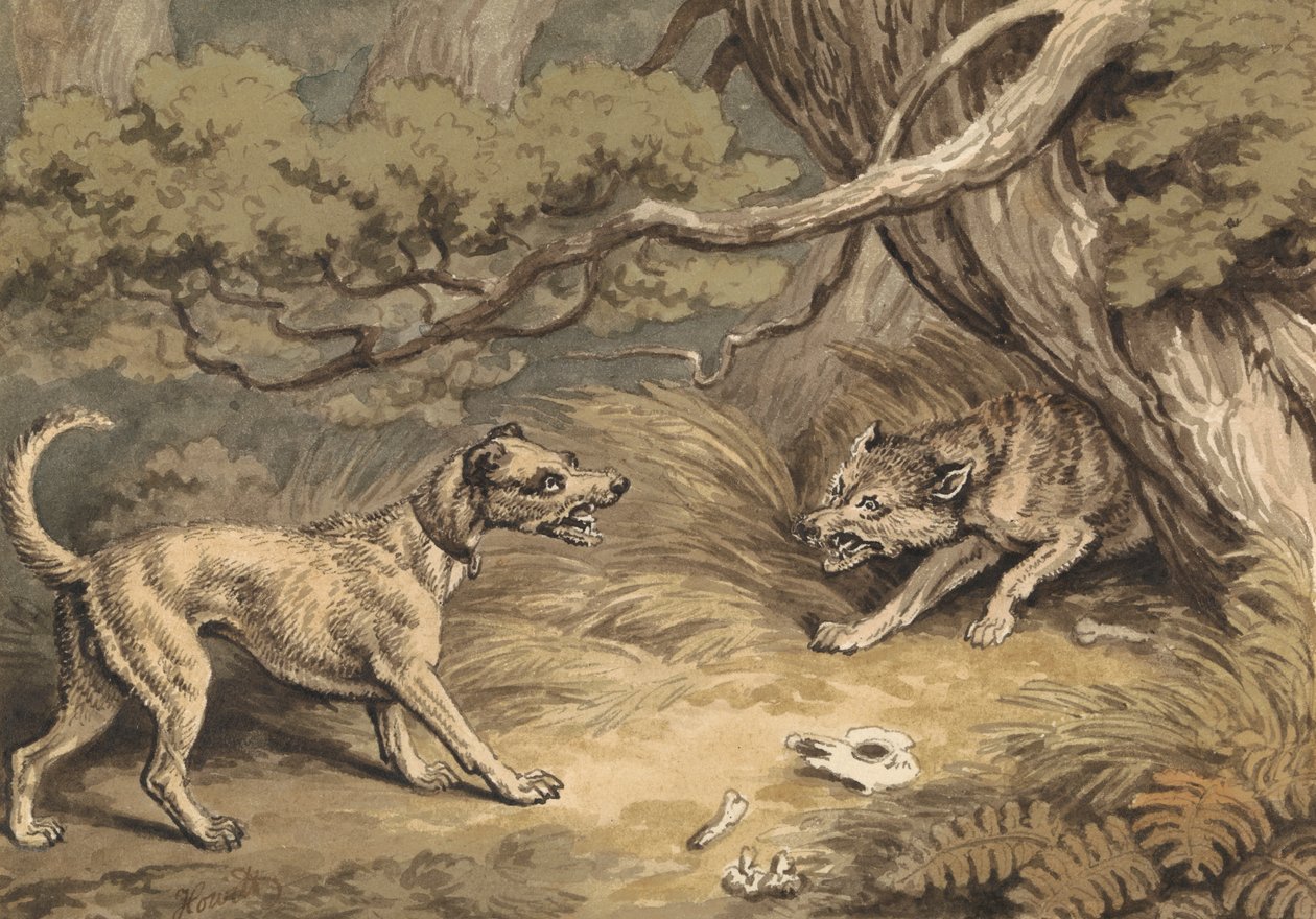De hond en de wolf door Samuel Howitt