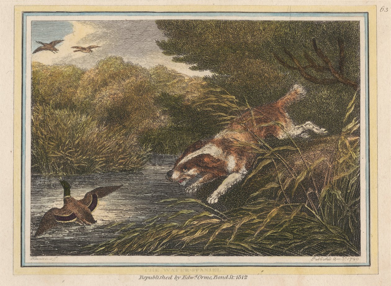 De waterspaniël door Samuel Howitt