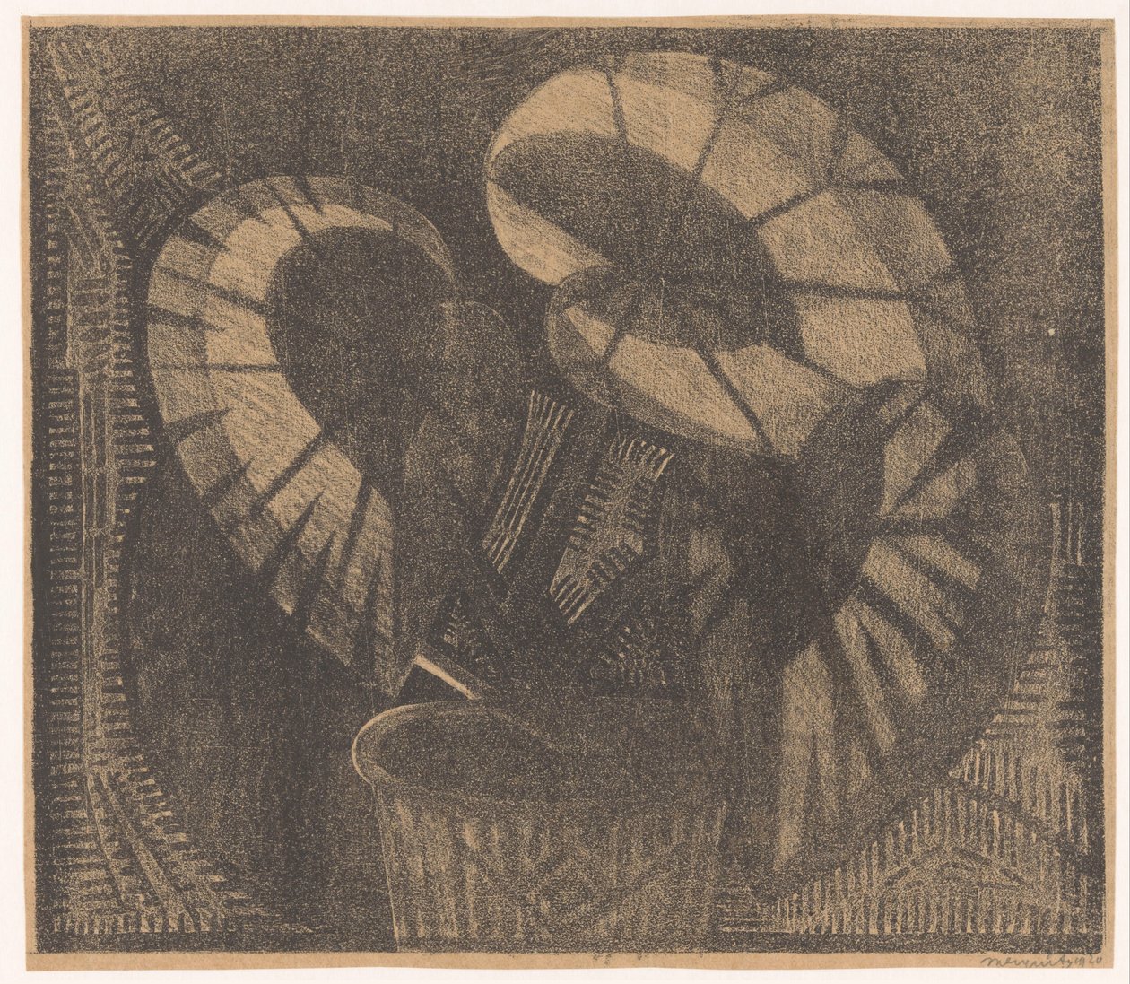 Bladbegonia door Samuel Jessurun de Mesquita