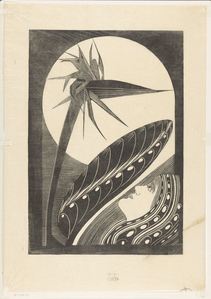 Uitgebloeide strelitzia door Samuel Jessurun de Mesquita