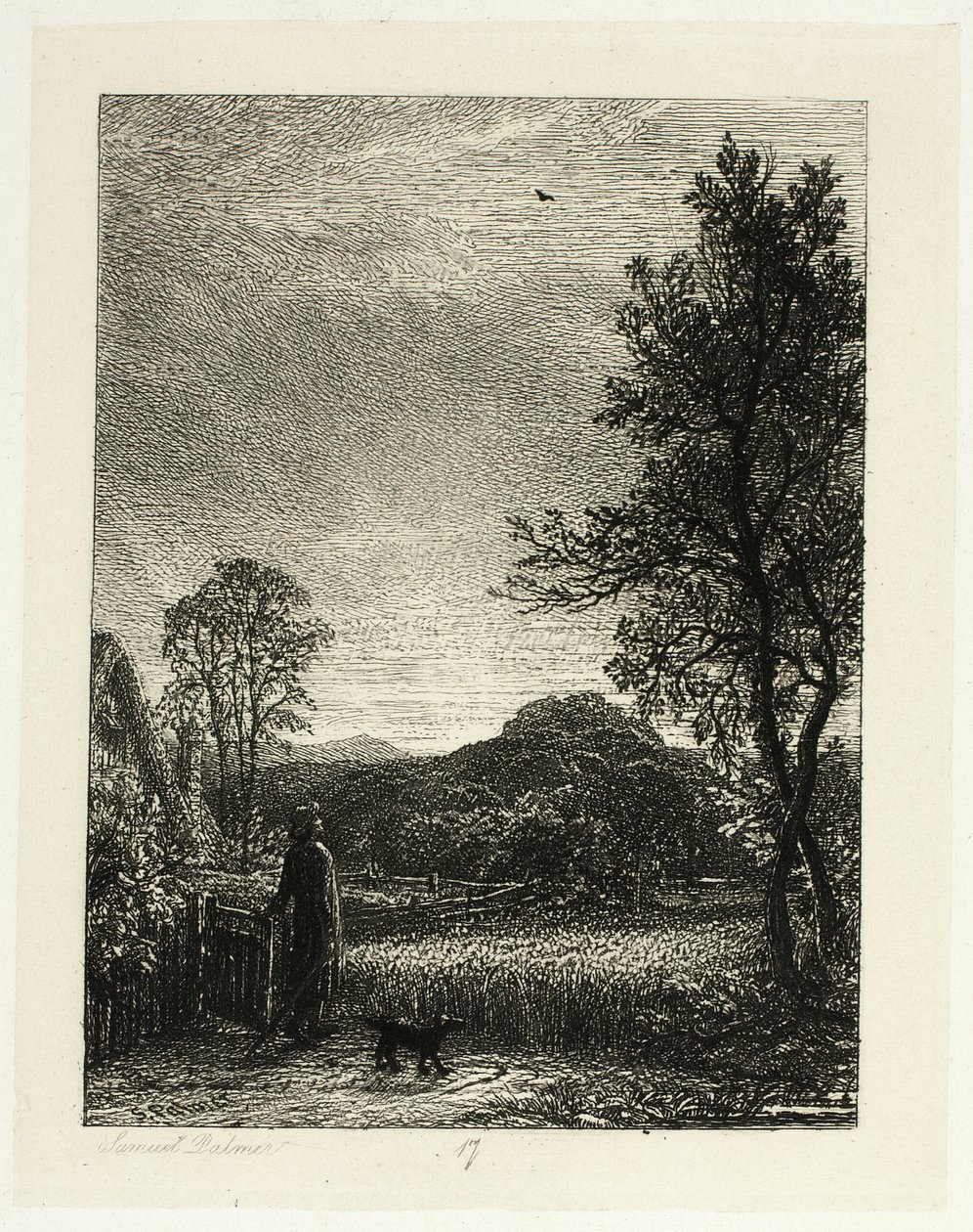 De Veldleeuwerik door Samuel Palmer