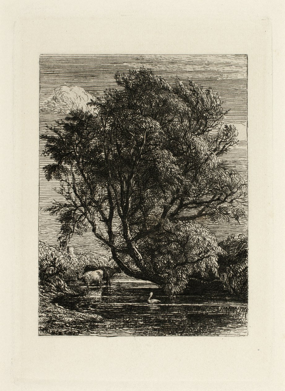 De wilg door Samuel Palmer