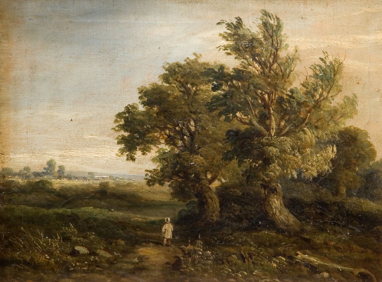 Landschap met Bomen, 1863 door Samuel Restell Lines