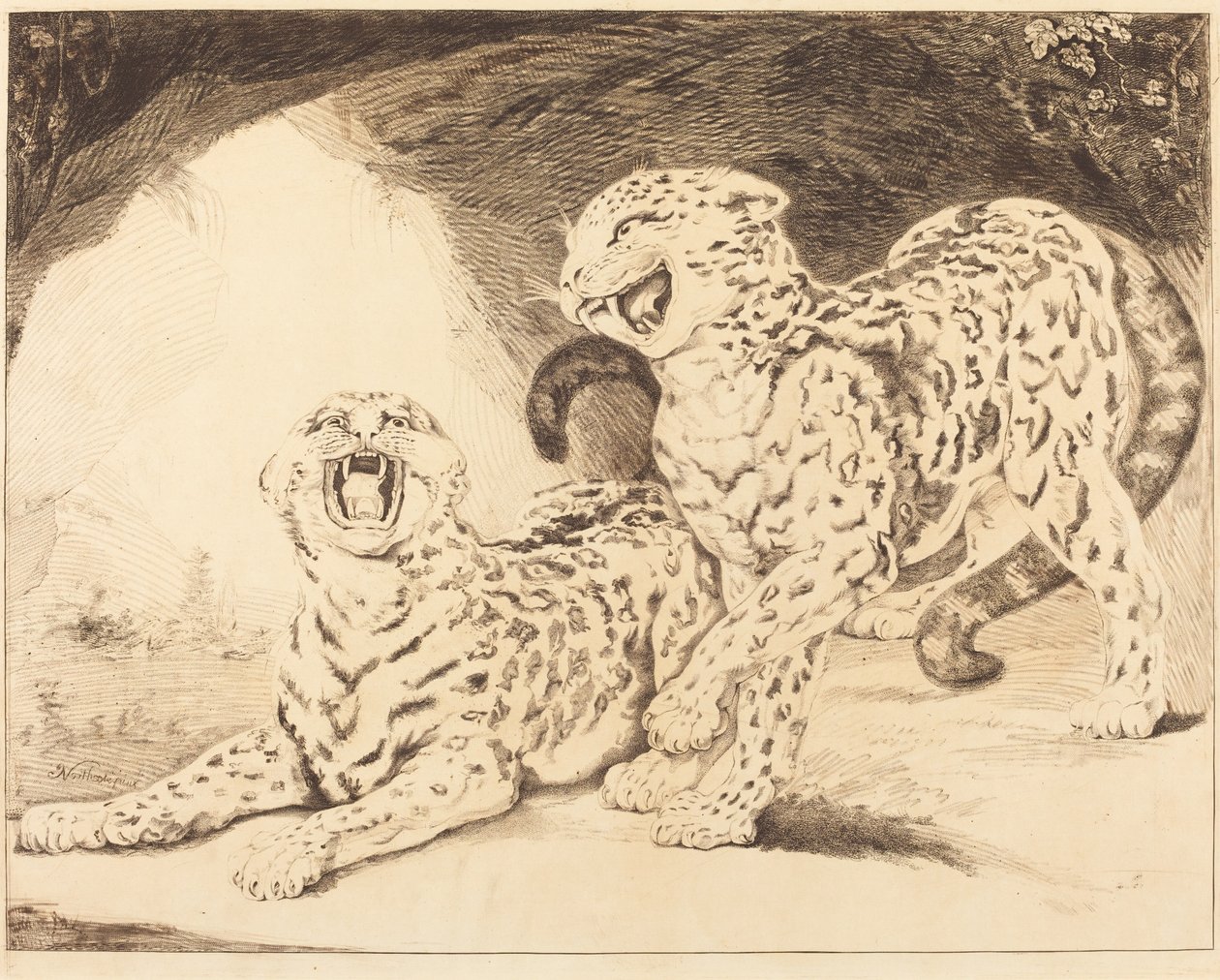 Luipaarden door Samuel William Reynolds I after James Northcote